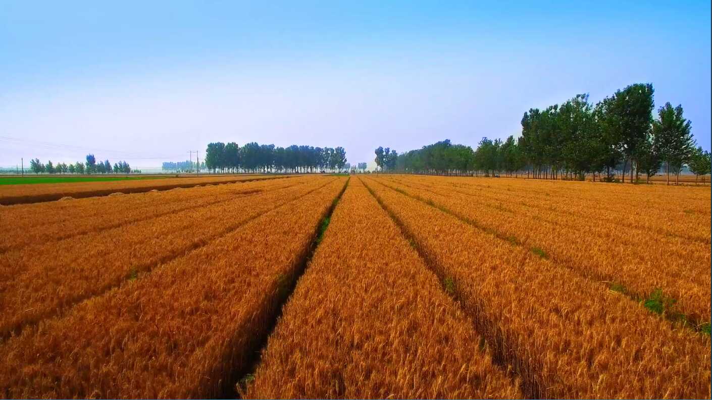 亚洲色欲色欲大片WWW无码