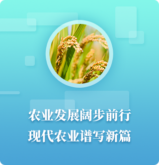 亚洲色欲色欲大片WWW无码