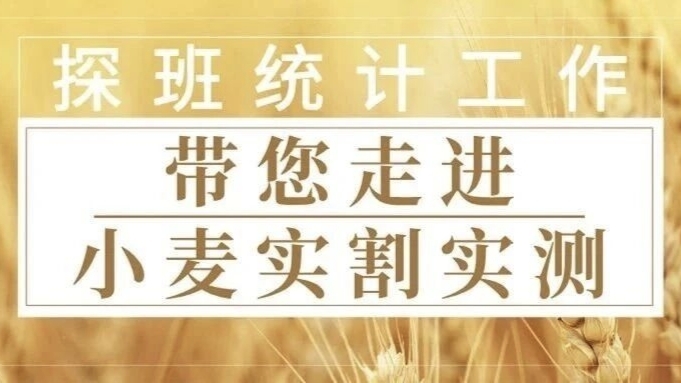 亚洲色欲色欲大片WWW无码